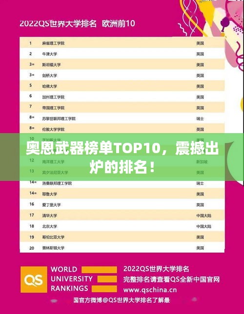 奥恩武器榜单TOP10，震撼出炉的排名！