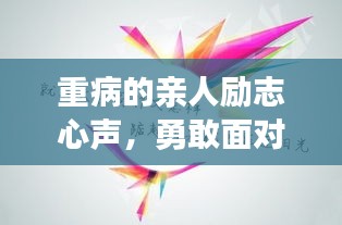 业务体系 第12页