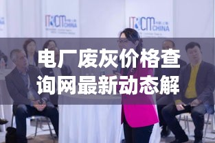 电厂废灰价格查询网最新动态解析，洞悉市场变化，掌握行业动态