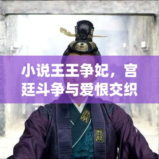 小说王王争妃，宫廷斗争与爱恨交织的传奇故事