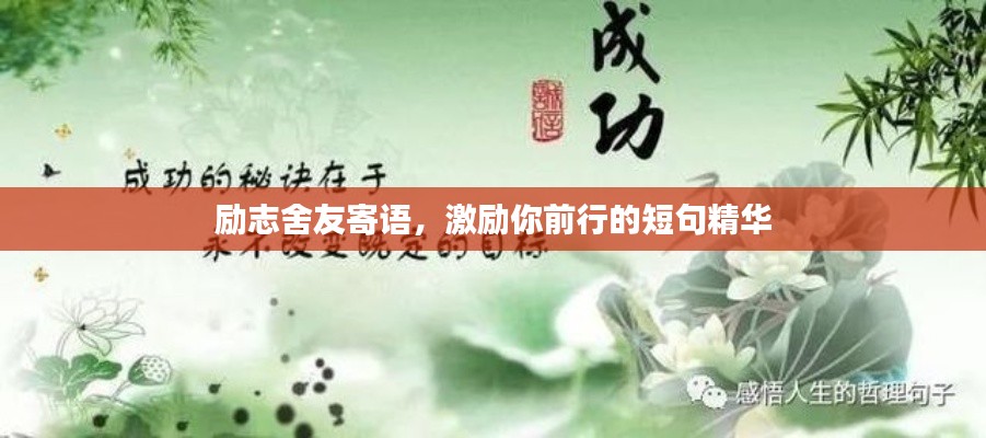 励志舍友寄语，激励你前行的短句精华