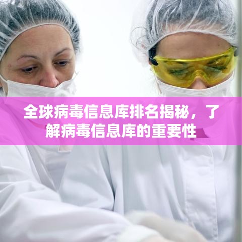 全球病毒信息库排名揭秘，了解病毒信息库的重要性