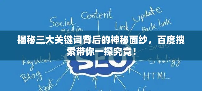 建站学院﻿﻿ 第13页