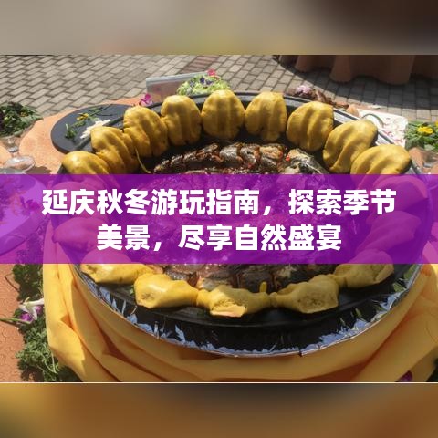 延庆秋冬游玩指南，探索季节美景，尽享自然盛宴
