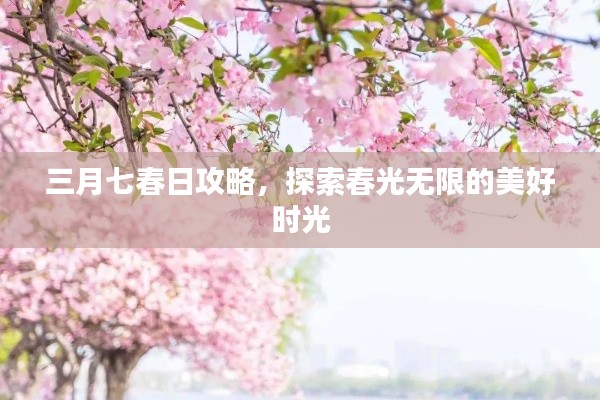 三月七春日攻略，探索春光无限的美好时光