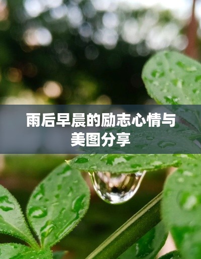 雨后早晨的励志心情与美图分享