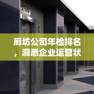 廊坊公司年检排名，洞悉企业运营状况的关键指标参考