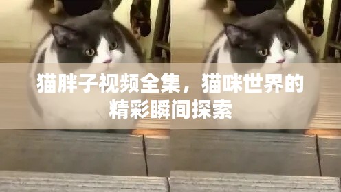 业务体系 第10页