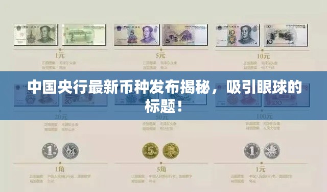软件定制﻿﻿ 第13页