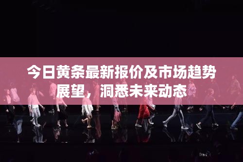 今日黄条最新报价及市场趋势展望，洞悉未来动态