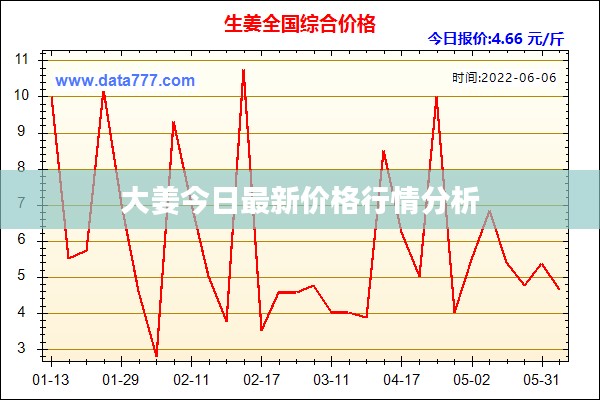大姜今日最新价格行情分析