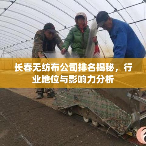 长春无纺布公司排名揭秘，行业地位与影响力分析