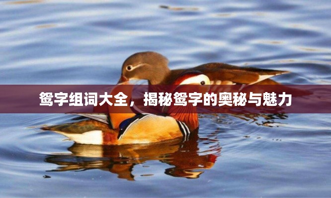 鸳字组词大全，揭秘鸳字的奥秘与魅力