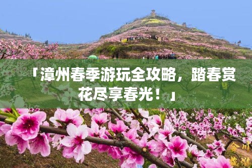 解决方案 第12页
