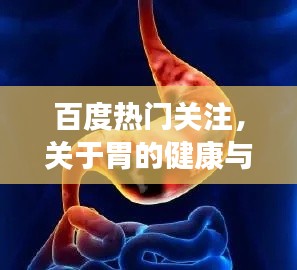志同道合
