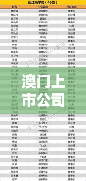 澳门上市公司排名榜单揭秘，谁领风骚？