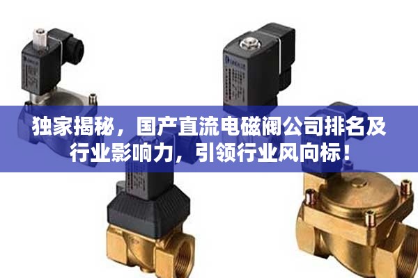 独家揭秘，国产直流电磁阀公司排名及行业影响力，引领行业风向标！