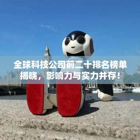 免责声明 第10页