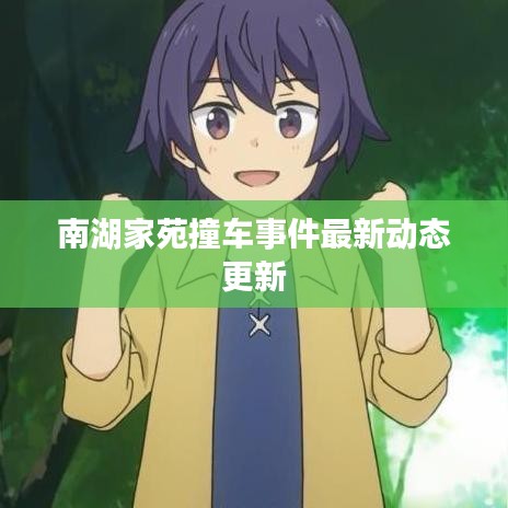 南湖家苑撞车事件最新动态更新