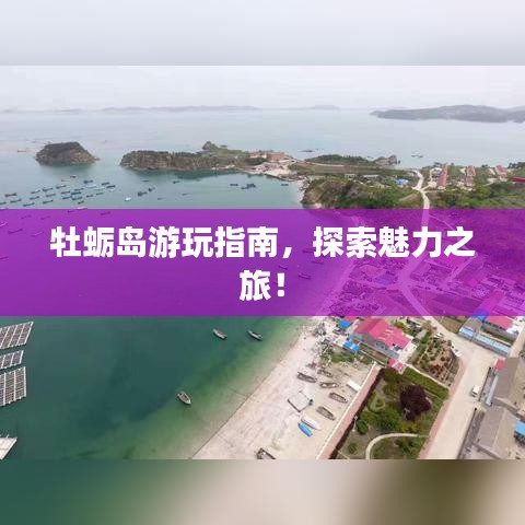 牡蛎岛游玩指南，探索魅力之旅！