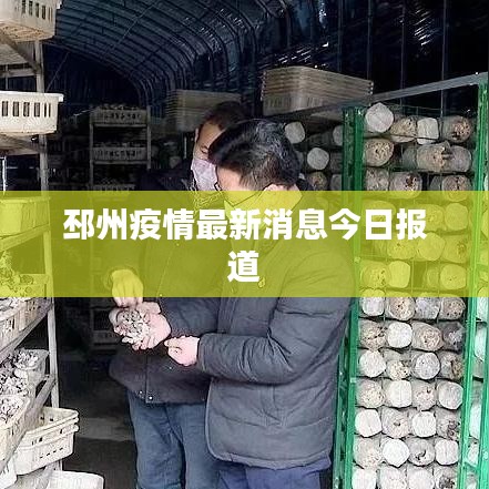 网站建设 第8页