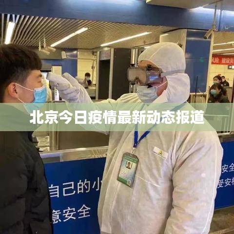 北京今日疫情最新动态报道
