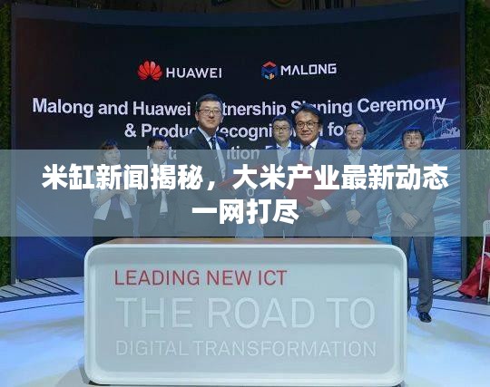 米缸新闻揭秘，大米产业最新动态一网打尽