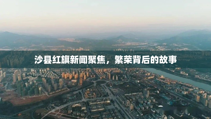 软件定制﻿﻿ 第10页