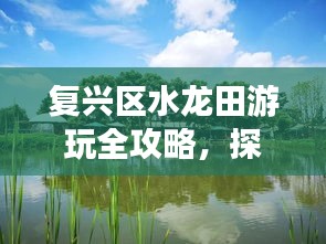 免责声明 第9页
