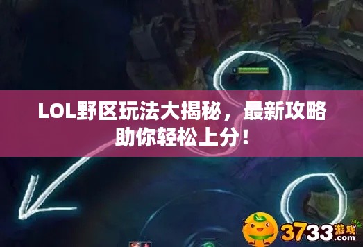 LOL野区玩法大揭秘，最新攻略助你轻松上分！