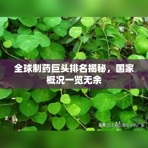 全球制药巨头排名揭秘，国家概况一览无余