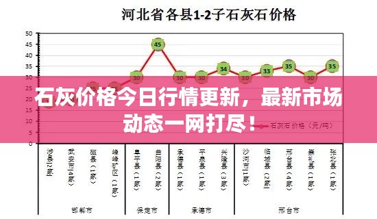 石灰价格今日行情更新，最新市场动态一网打尽！