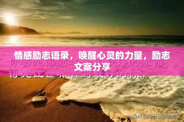 情感励志语录，唤醒心灵的力量，励志文案分享