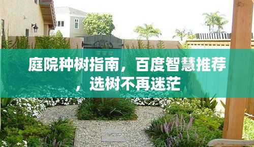 庭院种树指南，百度智慧推荐，选树不再迷茫