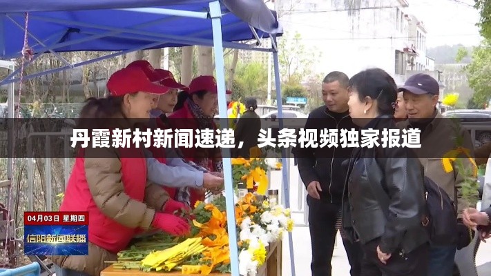丹霞新村新闻速递，头条视频独家报道