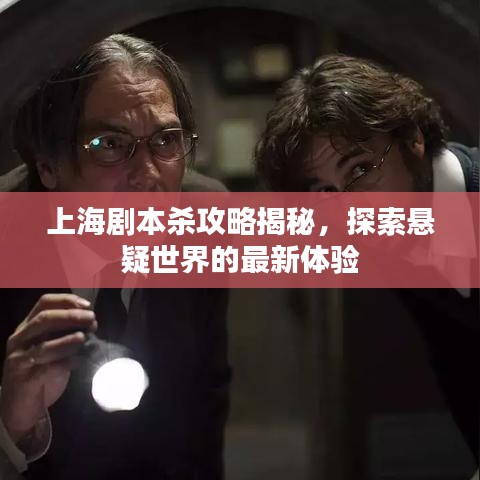 上海剧本杀攻略揭秘，探索悬疑世界的最新体验