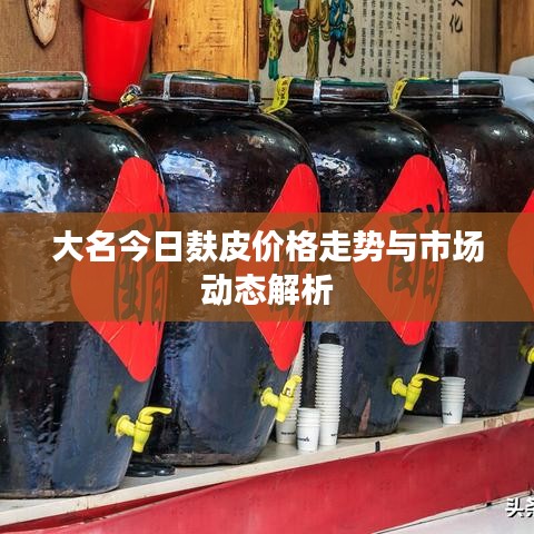 大名今日麸皮价格走势与市场动态解析