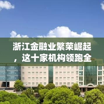 浙江金融业繁荣崛起，这十家机构领跑全国，揭秘其成功之道！