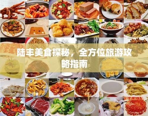 陆丰美食探秘，全方位旅游攻略指南