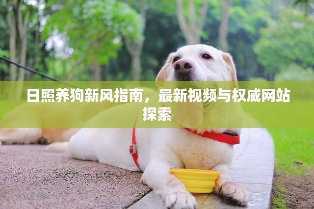 日照养狗新风指南，最新视频与权威网站探索