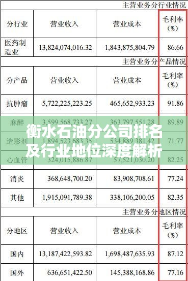 衡水石油分公司排名及行业地位深度解析