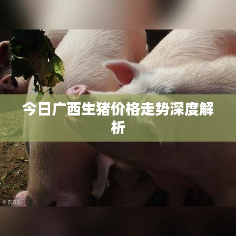 成功案例 第6页