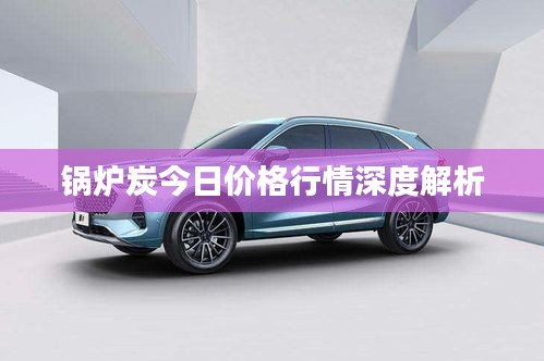 锅炉炭今日价格行情深度解析