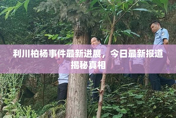 利川柏杨事件最新进展，今日最新报道揭秘真相