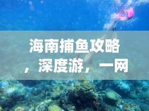 海南捕鱼攻略，深度游，一网打尽的海岛捕鱼之旅