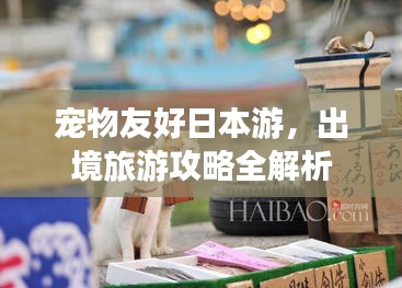 宠物友好日本游，出境旅游攻略全解析