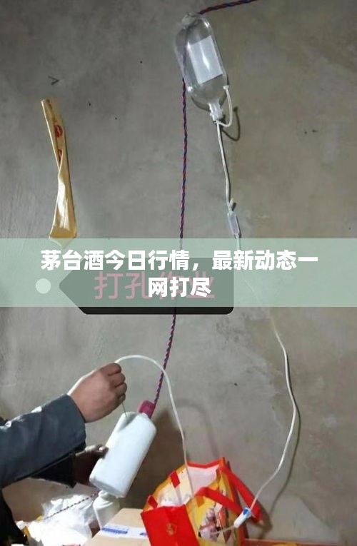 避繁就简