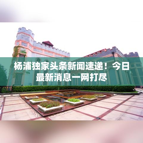 杨浦独家头条新闻速递！今日最新消息一网打尽