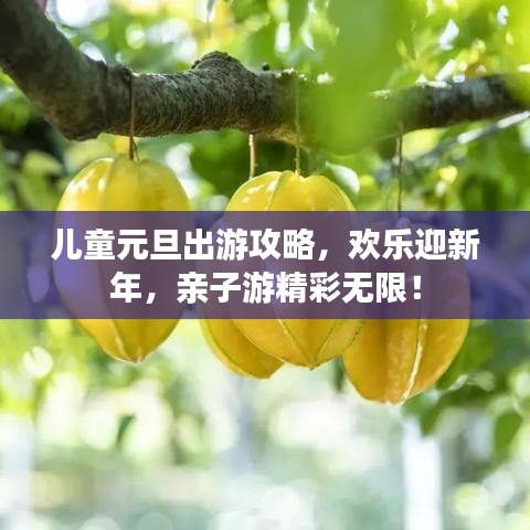 儿童元旦出游攻略，欢乐迎新年，亲子游精彩无限！