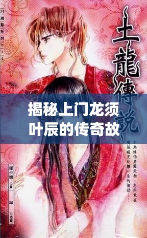 揭秘上门龙须叶辰的传奇故事，百度搜索背后的神秘传说